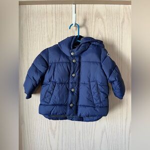 GAP Baby Navy Blue Winter Jacket